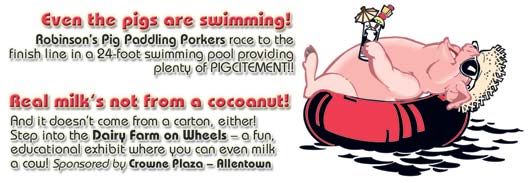 Pigs are swimming?!