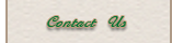 Contact Us